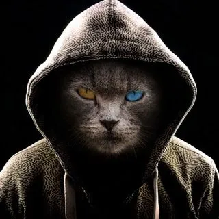 𝙺𝙾𝚃𝙾𝙵𝙸𝚄𝚂 - коты и контент