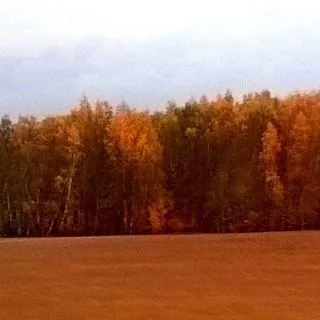 Красота природы - пейзажи и фото