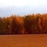 La belleza de la naturaleza - paisajes y fotos