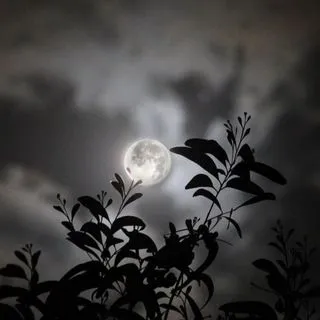ezo moon - Таро и практики