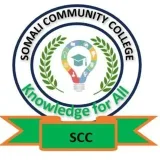 somali community english videos - уроки английского