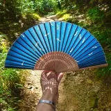 KyotoInsights- Psychology and Zen