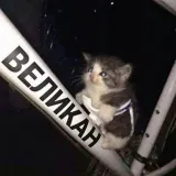 kurwa_shitpost - poste de mierda original