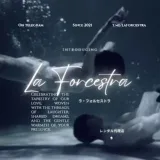 LAFORCESTRA- Comunidad del arte.