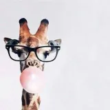 La JIRAFA🦒 - новости мира