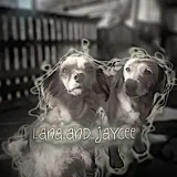 Basement mongrels - life of dogs