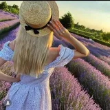 Lavender shop - lavender bouquets