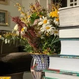 LazyBooksClub- what to read tonight