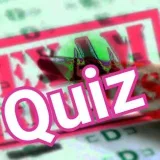General knowledge - викторины знаний