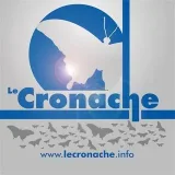 Le Cronache - news 24 hours