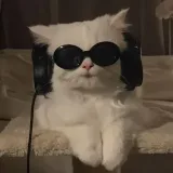 LegendaryMusic- Foreign music.