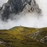 leslandscape.com - питомник растений