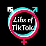 LibsofTikTok- crazy videos.
