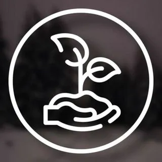 Life Games - симулятор жизни
