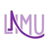 LIMU - ультразвук в медицине