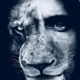 LION Periodismo libre de medios