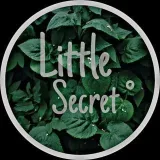 Little Secret- Study advice