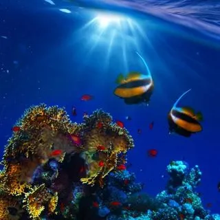 Living Ocean - моря и океаны