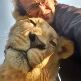 Living_with_lions - leones en la naturaleza