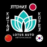 LOTUS AUTO Cars from Korea, China and Japan