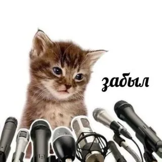 Это мой канал - личный контент