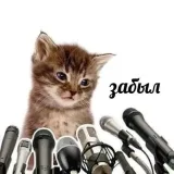 Это мой канал - личный контент