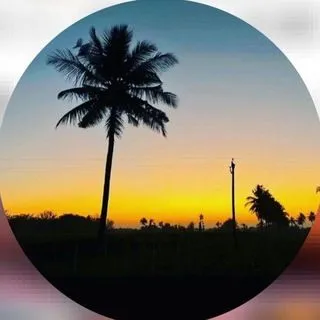 Lovely Nature Vibes - природа и музыка