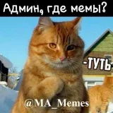 Meme Channel MA - memes populares