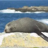 Madeira - La vida - Mudarse a Madeira