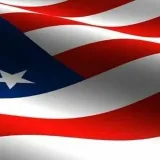 Trump Supporters Network - поддержка Трампа