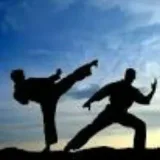 Artes marciales- clips de artes marciales