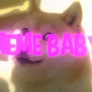 Meme Baby