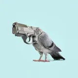 Meme andPictures- memes and photos