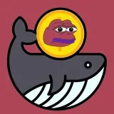 MemeCoinWhalePumps