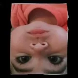 Meme orMemes- daily memes