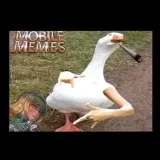 Mobile Legends Memes- MLBB memes