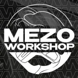 Mezo Workshop - anatomical rudders and stretching
