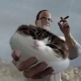 MGRMemes- humor and memes