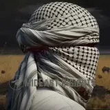 MidEast Insights- geopolitics
