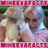 MiheevaFacts- facts and secrets