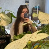 #milanawithaplant - Plantas y cuidados