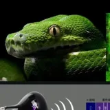 Eugene - Game Channel