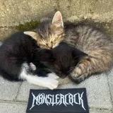 MONSTERCOCK- memes originales