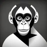 Monkey - account evaluation