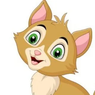 Catsforyou - милые котики
