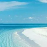 Psicología y motivación motivacionales