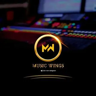 Music Wings - статусы