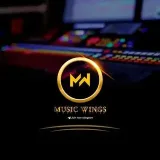 Music Wings- statuses