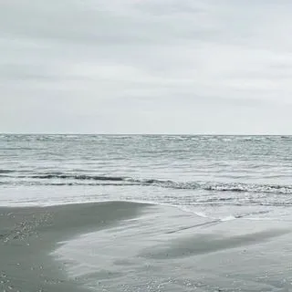 Play List - плейлисты музыки