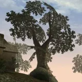 Morrowind Screenshots- original screens